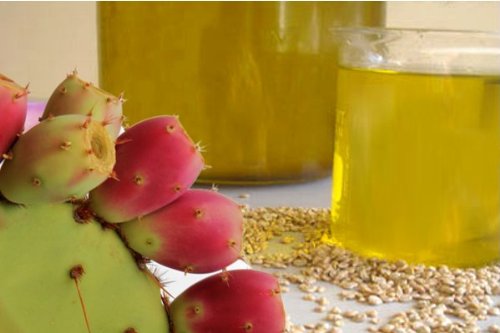 prickly-pear-seed-oil